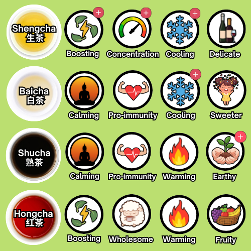 Typology crashcourse - EN